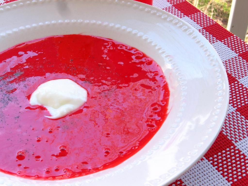 Cream of Ketchup and Mustard Soup Willow Bird Baking